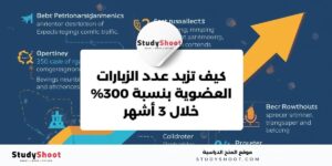 كيف تزيد عدد الزيارات العضوية بنسبة 300% خلال 3 أشهر