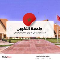 جامعة الأخوين