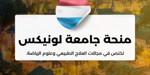 منحة جامعة لونيكس