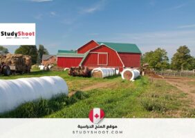 فرصة عمل في مزرعة بكندا: مطلوب عمال زراعيون عامون برواتب مجزية