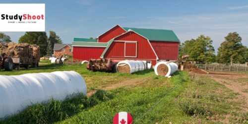 فرصة عمل في مزرعة بكندا: مطلوب عمال زراعيون عامون برواتب مجزية