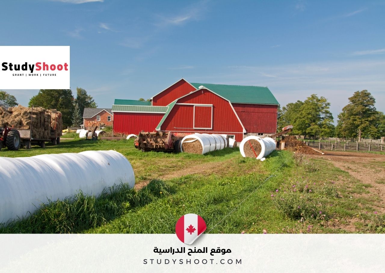 فرصة عمل في مزرعة بكندا: مطلوب عمال زراعيون عامون برواتب مجزية