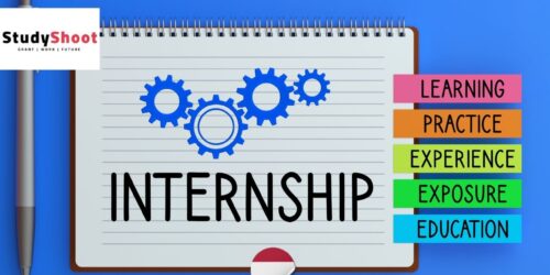 تدريب داخلي في هولندا أربعة أشهر للتعلّم من خبراء عالميين في مجال الاستشارات الإدارية