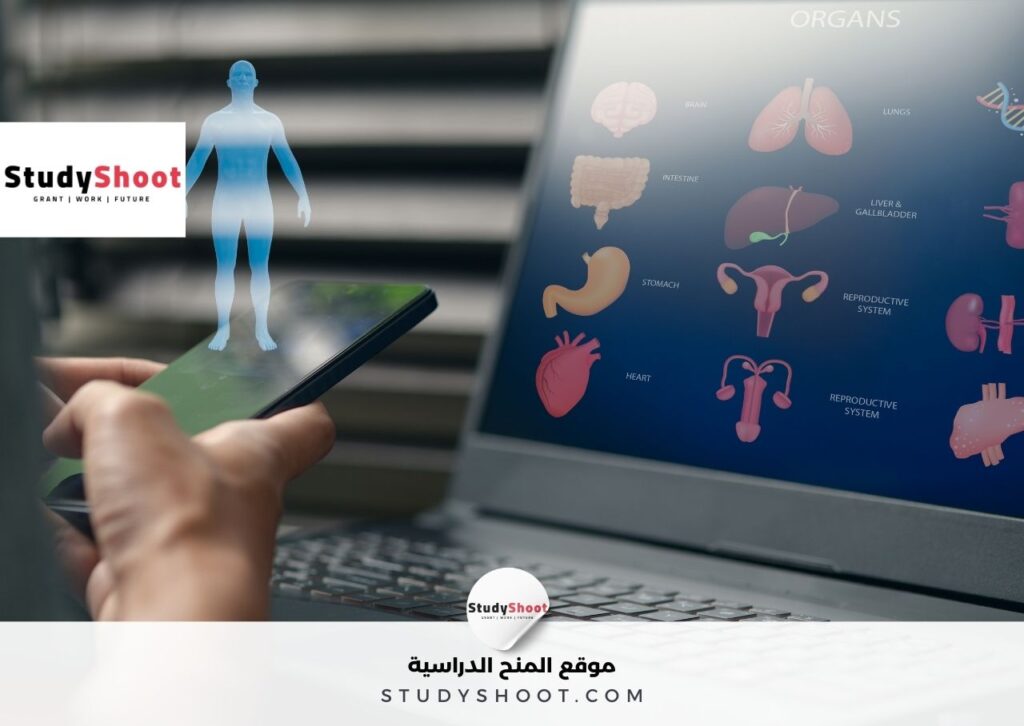 thumbst 20 1 منصات تدريس اون لاين للطلاب المصريين