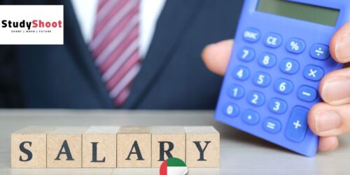 كل ماتحتاجه عن متوسط المرتبات في الامارات والحد الأدنى للأجور