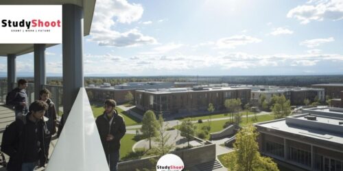 تمويل دراسة الطب في جامعة كالجاري الكندية