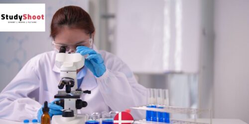 وظيفة كأخصائي إنتاج المستحضرات الحيوية في الدنمارك وآيسلندا