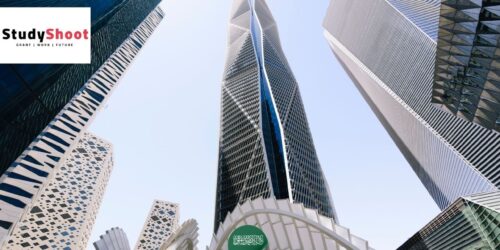 اكثر التخصصات المطلوبة في السعودية