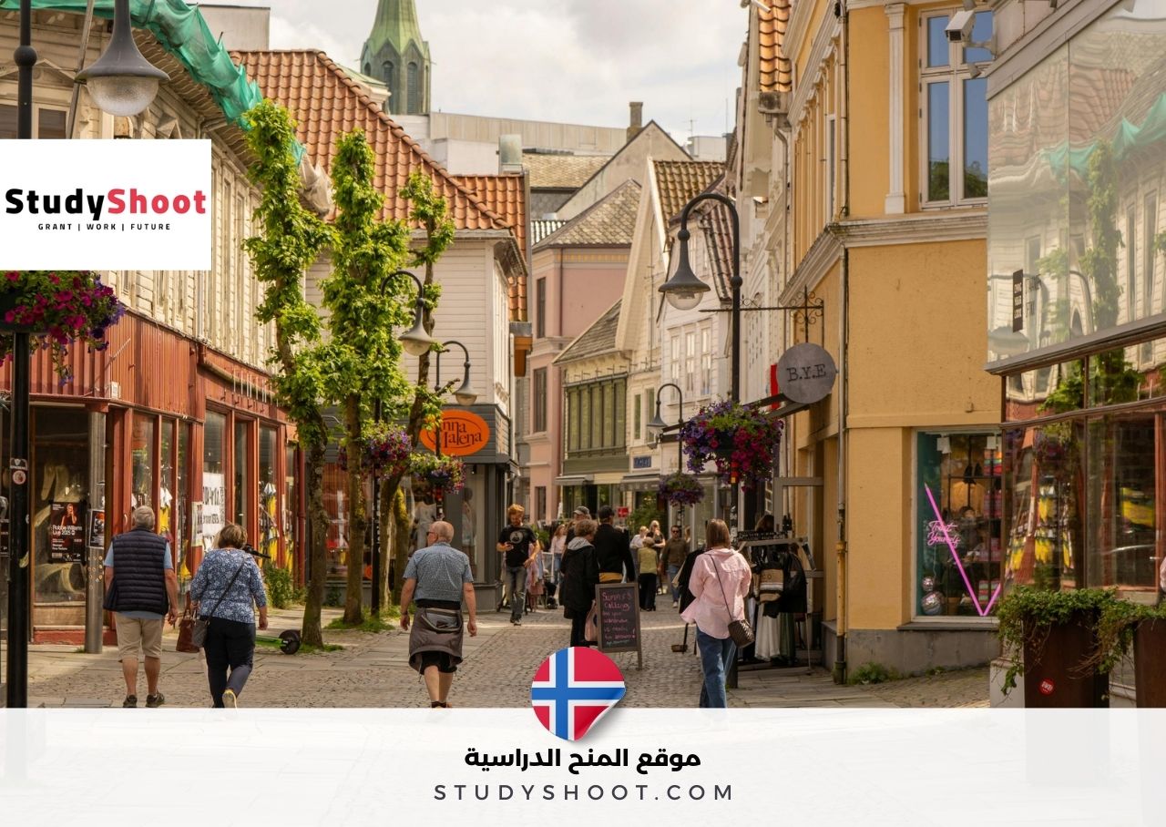 النرويج تقدم مجاناً تجربة سفر وإقامة لا تُنسى في قلب الطبيعة الساحرة