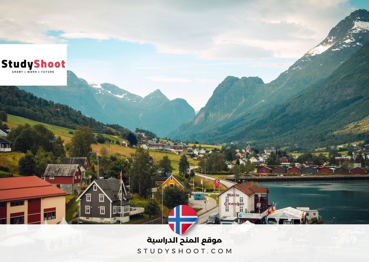 فرصة تطوع في قرية نرويجية قريبة من القطب الشمالي مع برنامج فيفيلستاد للعمل التطوعي