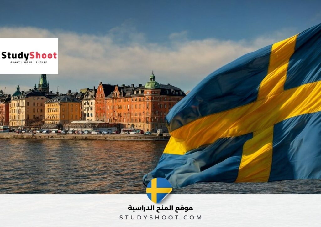 عمل تطوعي في السويد لمدة عام كامل تغطي جميع المصاريف للعمل الأطفال