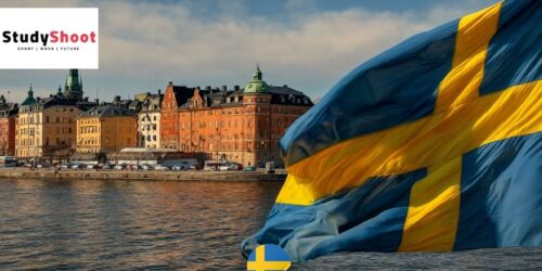 عمل تطوعي في السويد لمدة عام كامل تغطي جميع المصاريف للعمل الأطفال