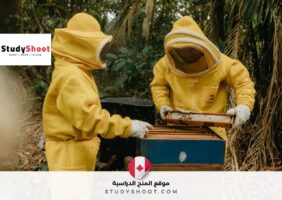 20 فرصة موسمية في كندا للعمل في مناحل فورت مكلويد