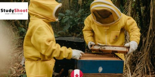 20 فرصة موسمية في كندا للعمل في مناحل فورت مكلويد