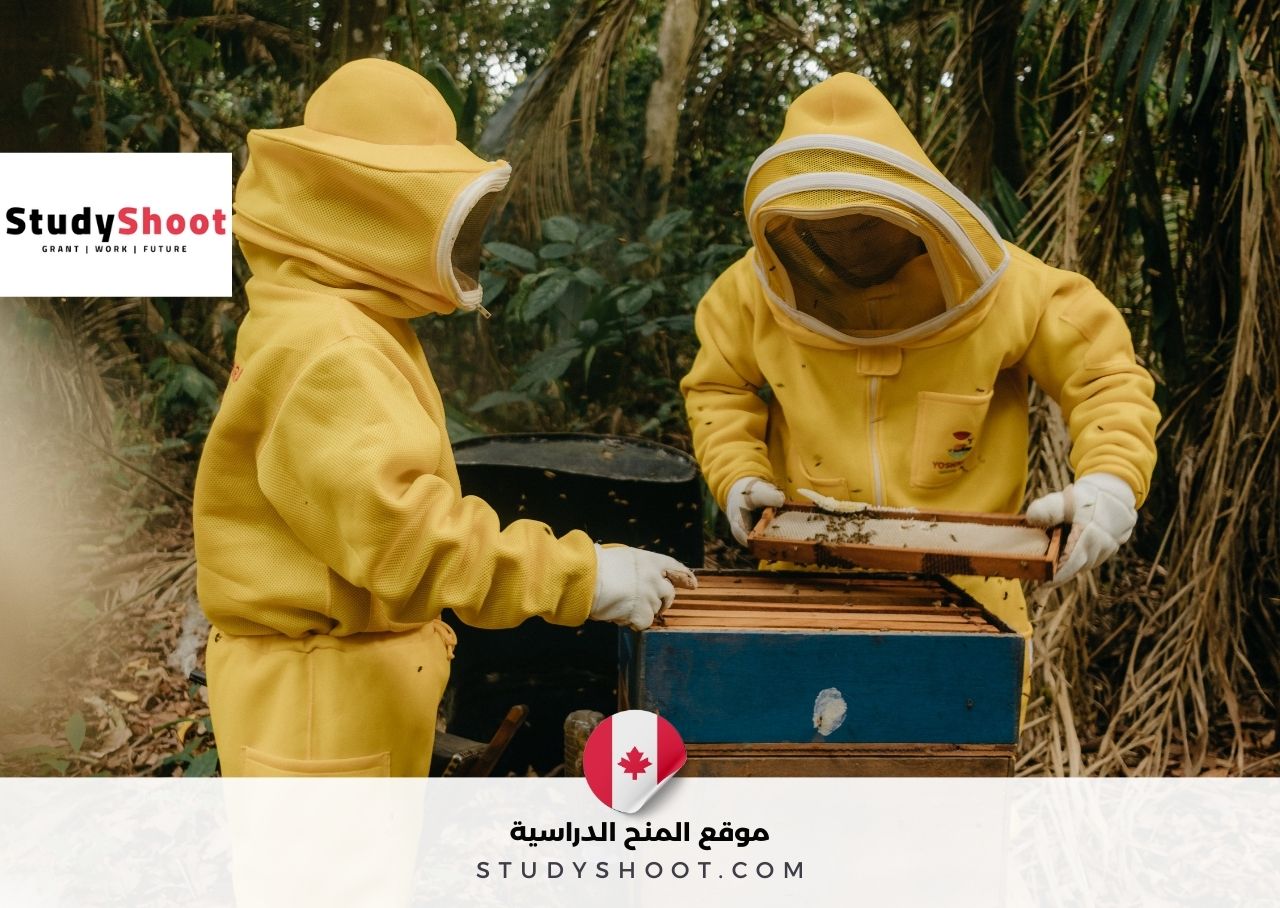 20 فرصة موسمية في كندا للعمل في مناحل فورت مكلويد