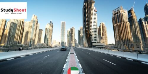 وظيفة أخصائي تطوير الخدمات الرقمية في هيئة الطرق والمواصلات بدبي