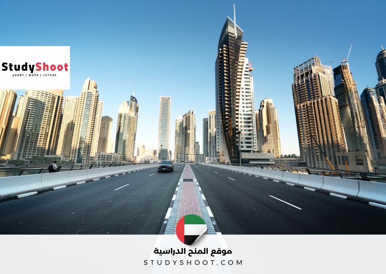 وظيفة أخصائي تطوير الخدمات الرقمية في هيئة الطرق والمواصلات بدبي