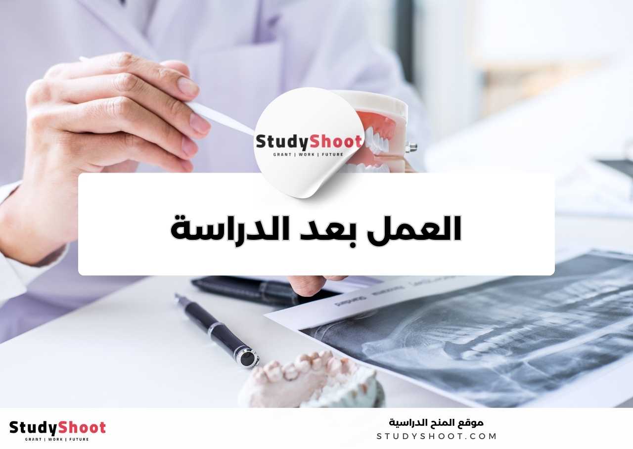 في أي مجالات يمكن العمل بعد دراسة تخصص صناعة الأسنان؟