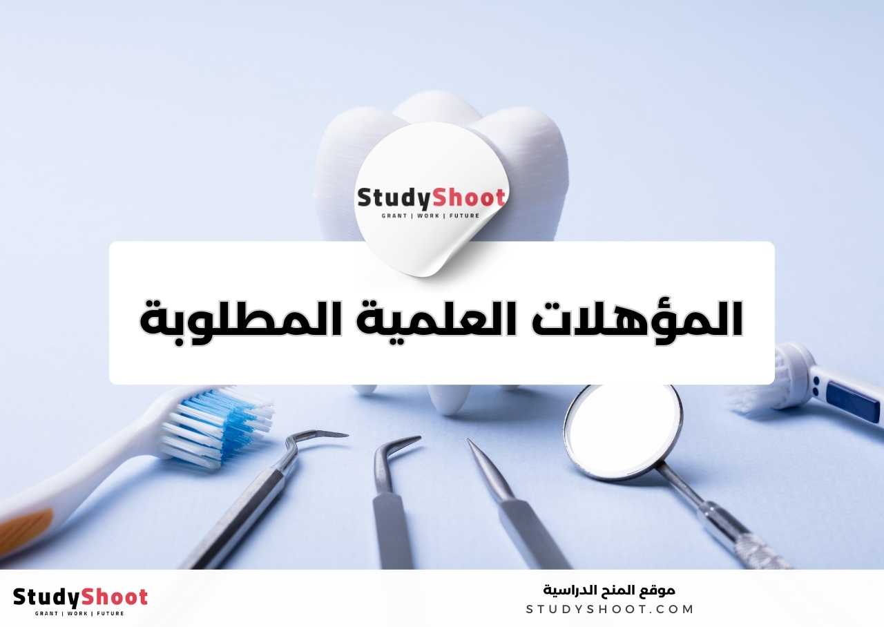 ما المهارات العملية والشخصية؟