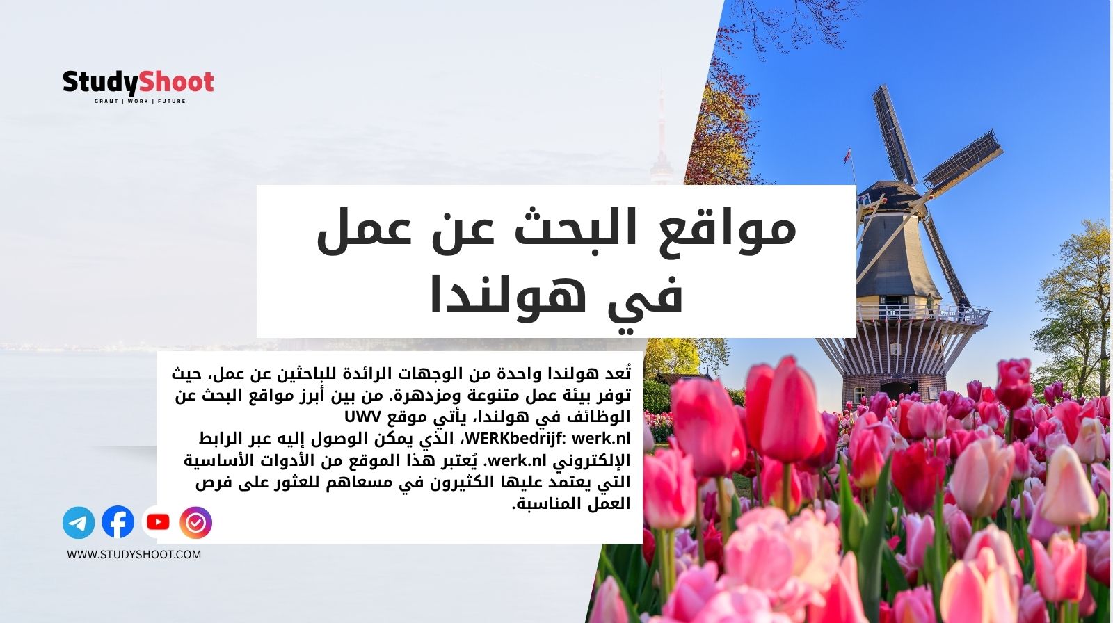 مواقع البحث عن عمل في هولندا