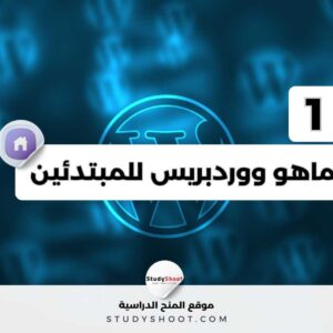 ماهو ووبرديس؟ وكيف يعمل!