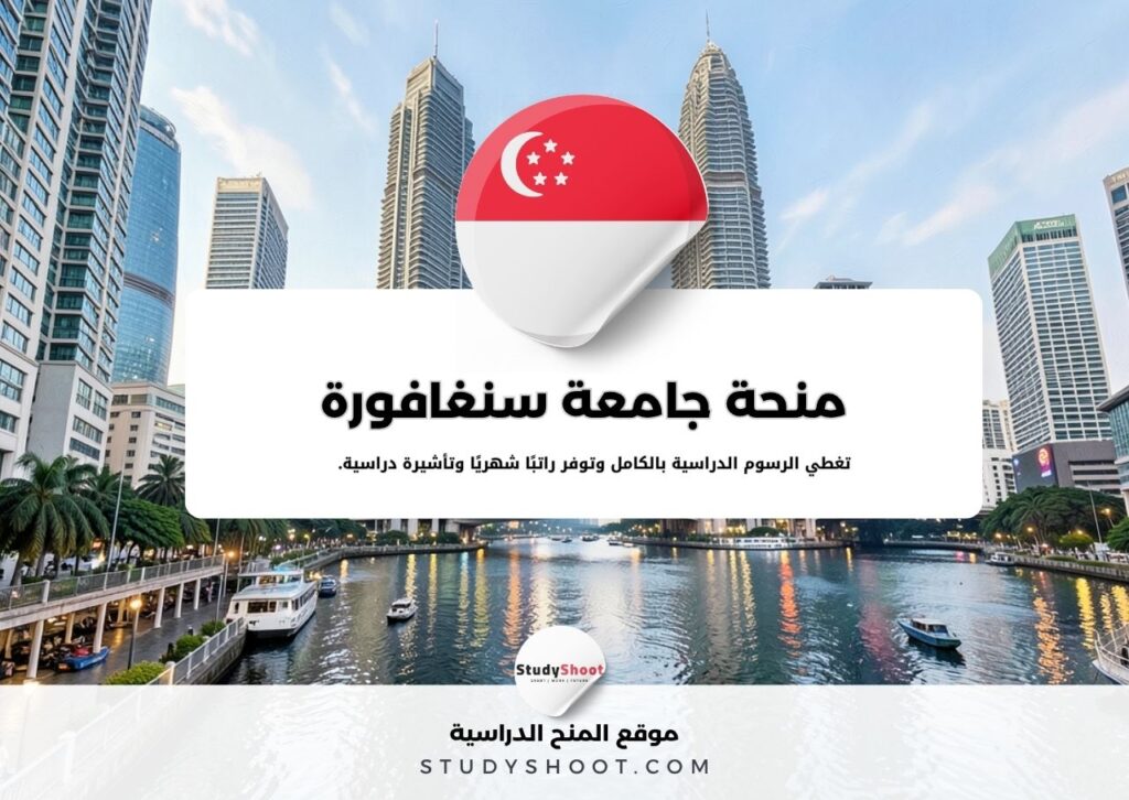 منحة جامعة سنغافورة
