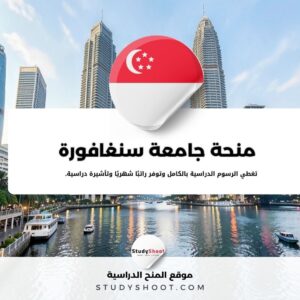 منحة جامعة سنغافورة