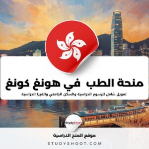 منحة الطب في جامعة هونغ كونغ