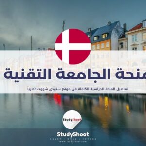 منحة الجامعة التقنية في الدنمارك