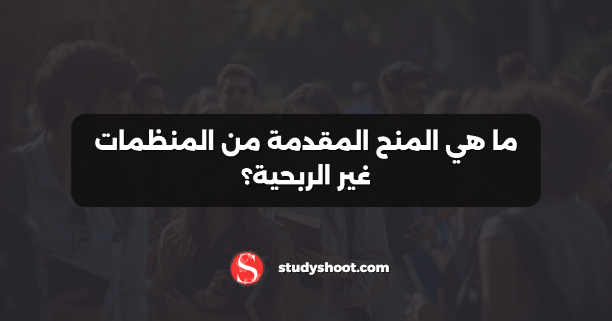 ما هي المنح المقدمة من المنظمات غير الربحية؟