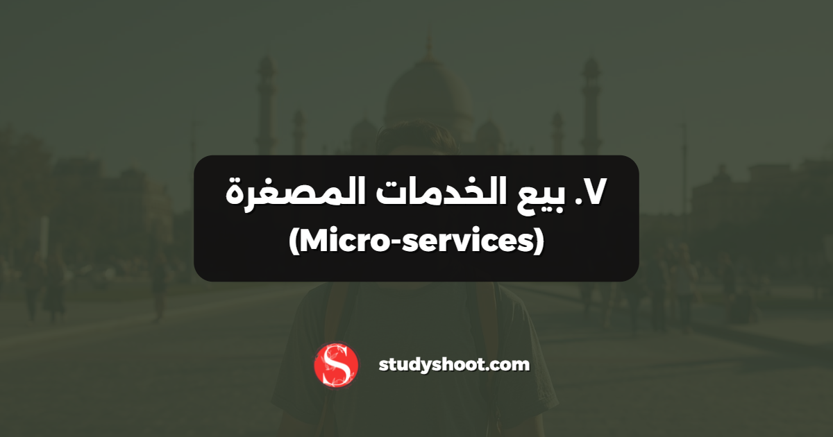 ٧. بيع الخدمات المصغرة (Micro-services)