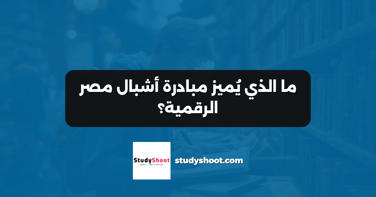 ما الذي يُميز مبادرة أشبال مصر الرقمية؟