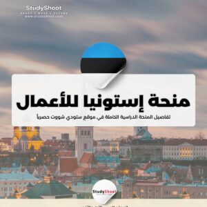 منحة المدرسة الإستونية للأعمال