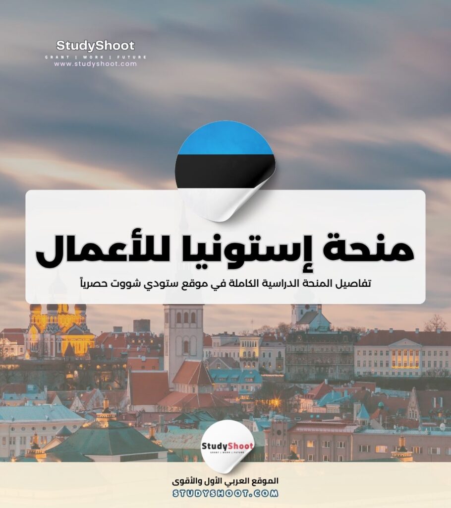 منحة المدرسة الإستونية للأعمال
