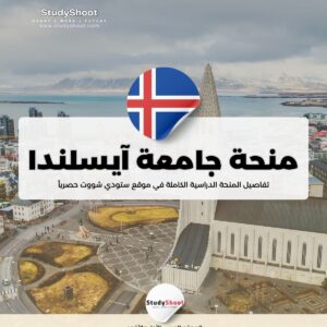 منحة جامعة آيسلندا للفنون