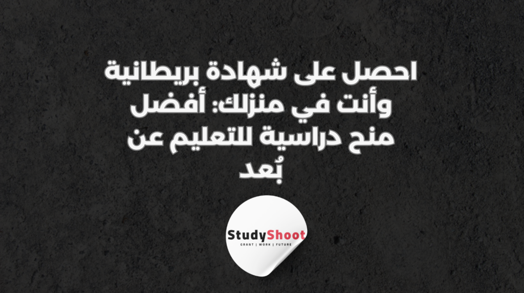ستودي شووت المنح الدراسية