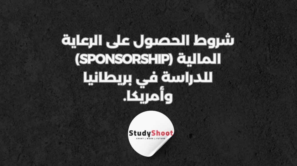 ستودي شووت التسويق الإلكتروني