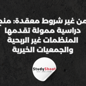 ستودي شووت المنح الدراسية