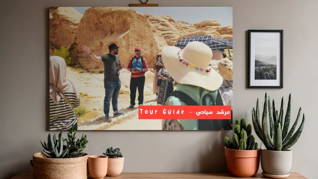 ستودي شووت مرشد سياحي