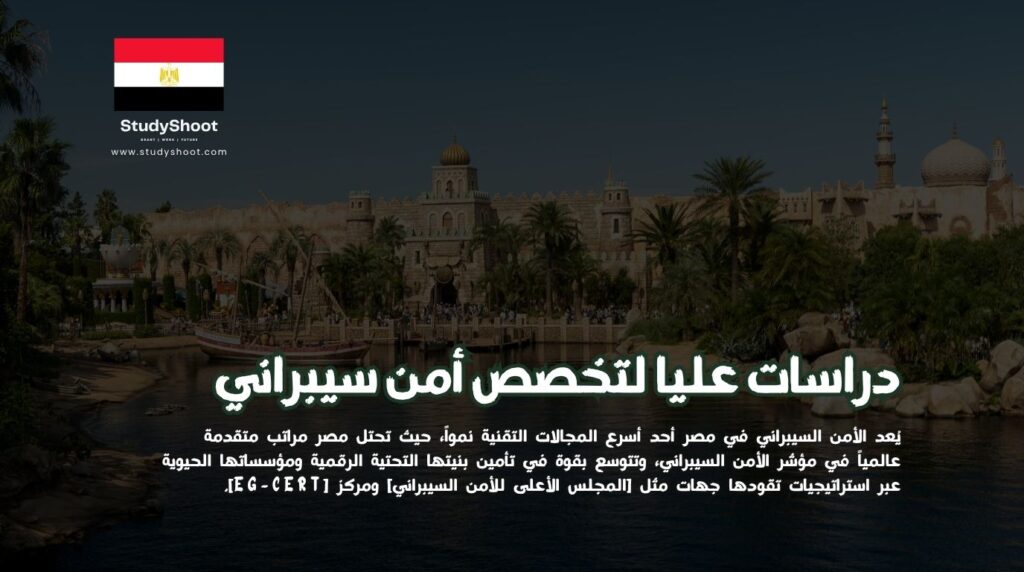 أمن سيبراني في مصر