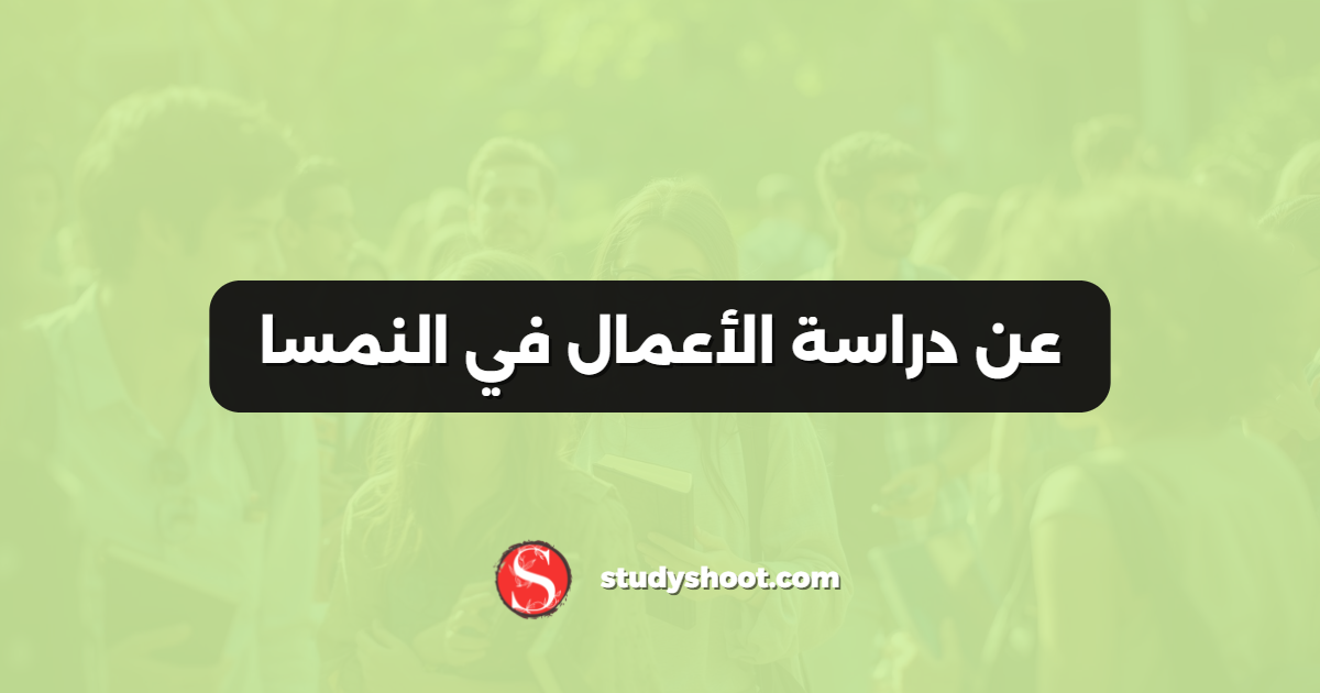 عن دراسة الأعمال في النمسا
