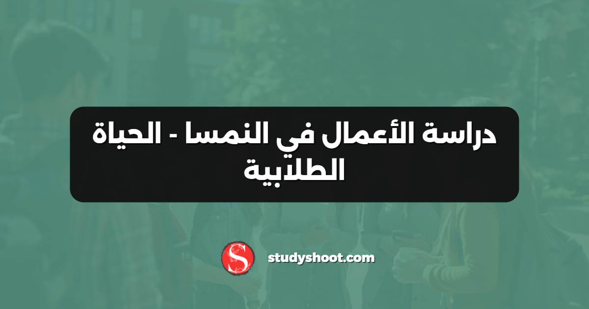 دراسة الأعمال في النمسا - الحياة الطلابية