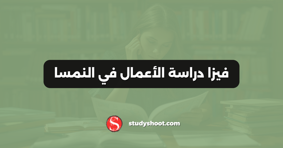 فيزا دراسة الأعمال في النمسا