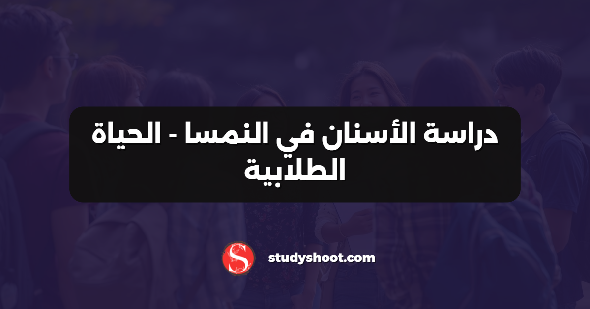 دراسة الأسنان في النمسا - الحياة الطلابية