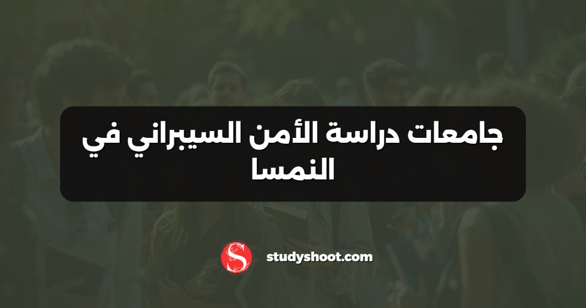 جامعات دراسة الأمن السيبراني في النمسا