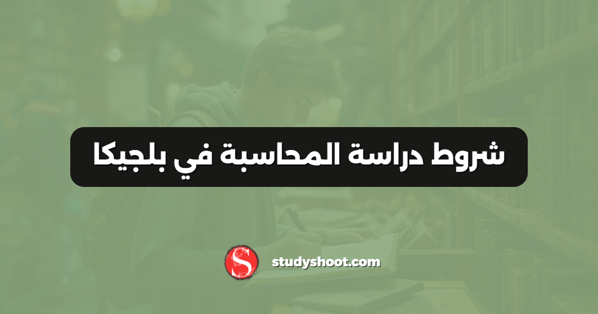 شروط دراسة المحاسبة في بلجيكا