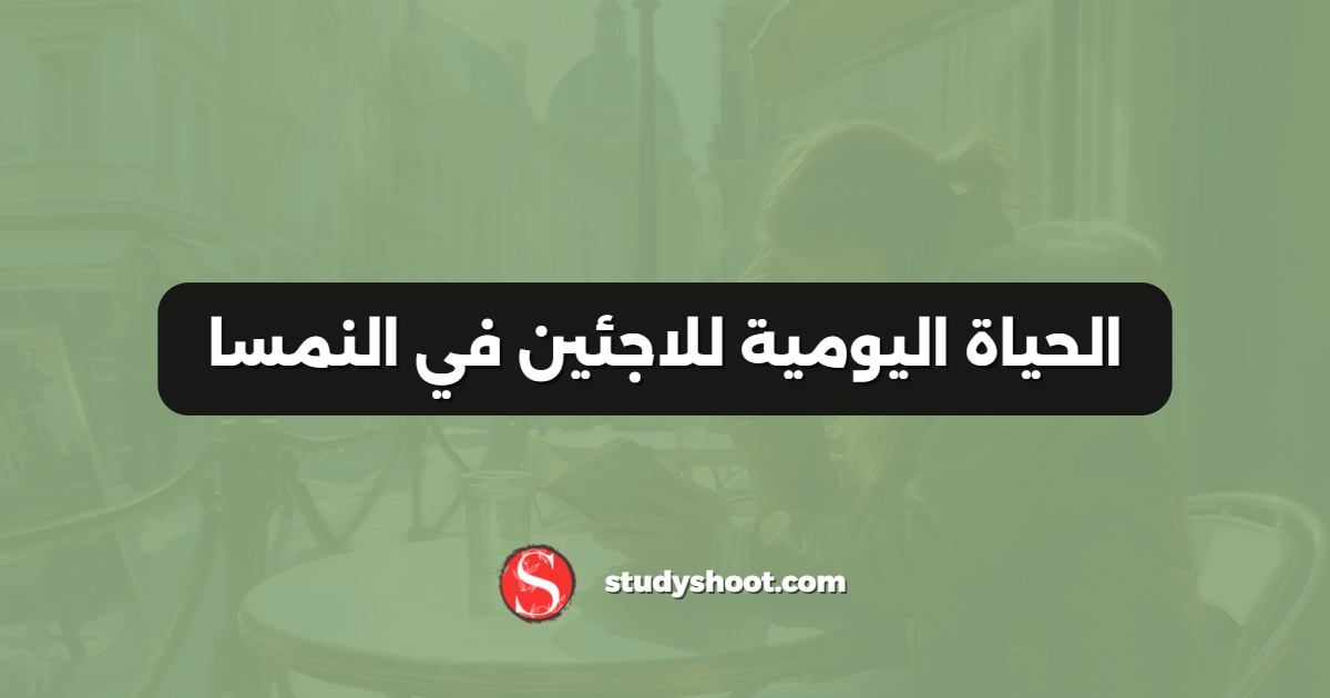 الحياة اليومية للاجئين في النمسا