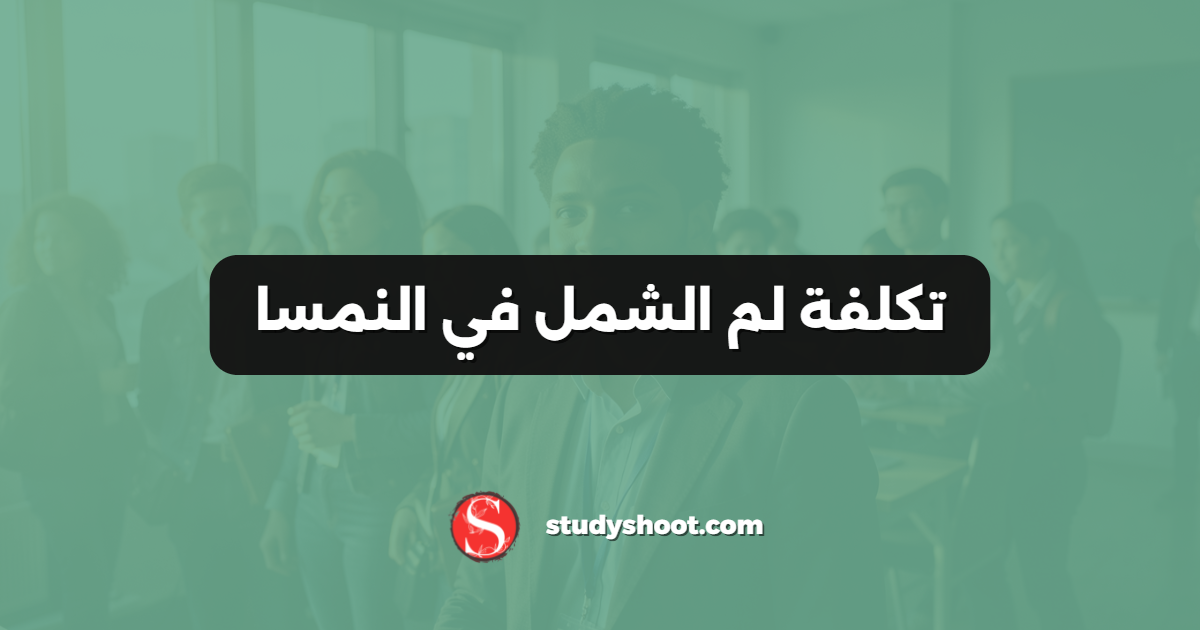 تكلفة لم الشمل في النمسا