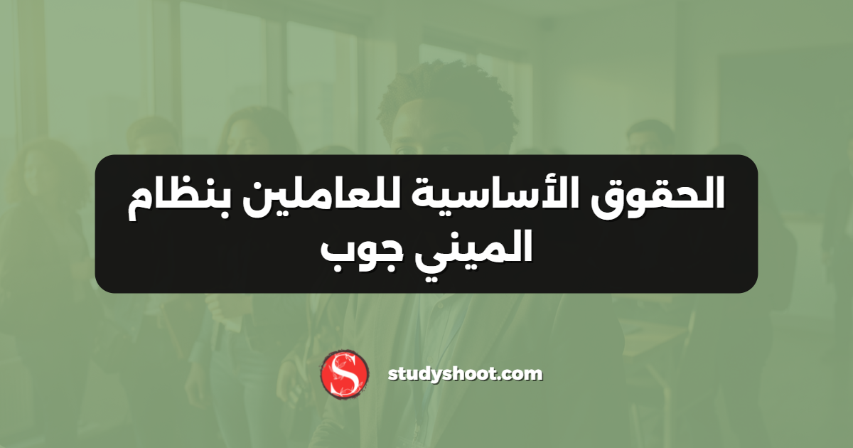 الحقوق الأساسية للعاملين بنظام الميني جوب