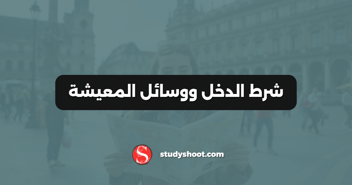 شرط الدخل ووسائل المعيشة